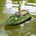 Bateau amorceur C118 avec navigation GPS - Vert