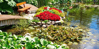 Comment bien enlever de la boue de bassin de jardin ? Avez-vous déjà entendu parler de bactéries ?