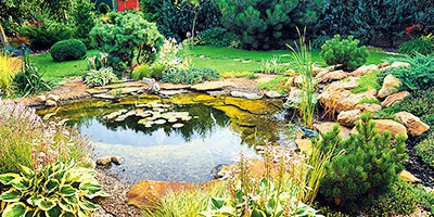 Quelques conseils pour garder votre bassin de jardin propre et clair.