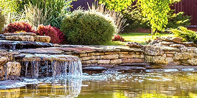 Quelques conseils pour garder votre bassin de jardin propre et clair.