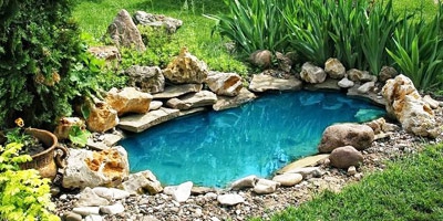 Quelques conseils pour garder votre bassin de jardin propre et clair.
