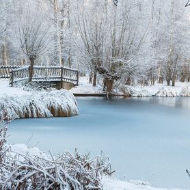 Nettoyant bio-enzymatique pour votre BASSIN DE JARDIN HIVERNÉ de manière optimale (l’hiver) 500g (Bactérie pour bassin)